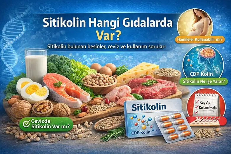 Sitikolin Hangi Gıdalarda Var? Ceviz, Hamilelik ve Kullanım Süresi